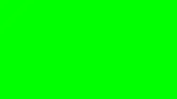 scarlet zone
