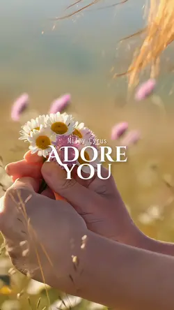 adore you