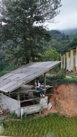 hoà vào làn sương mờ