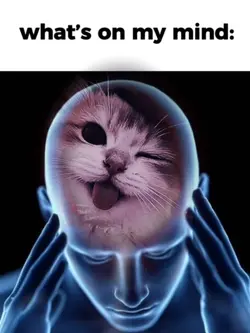what's on my mind 