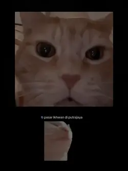 Skibidi