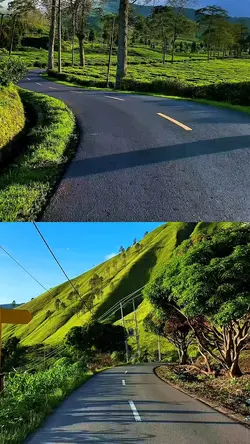 kolase 2 video