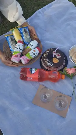 Picnic