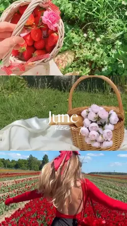 June recap 2025