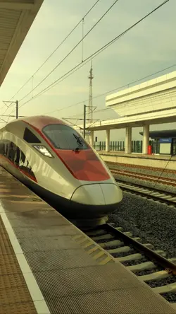 Woosh Train