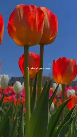 Yours