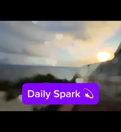 Daily Spark 💫