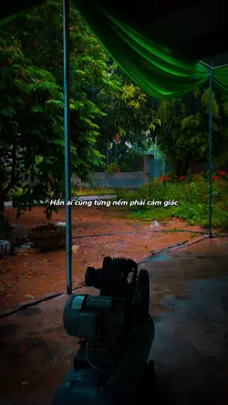 3107 Duong Nâu