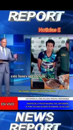 roba gallinas