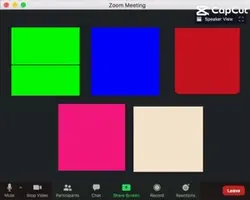 Zoom call