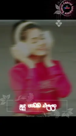 සුදු පාවඩ එලලා
