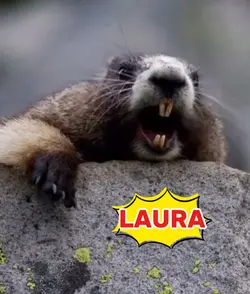 LAURA