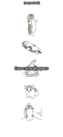 ₍^. .^₎⟆ wallpaper!