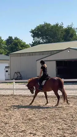 Rode Abby 😍❤️