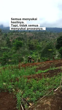 Proses PETANI CABAI