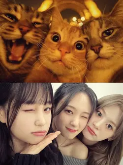 trend kucing ber 3