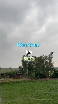 The weather here
