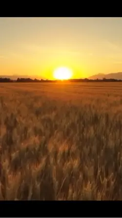 Nature background
