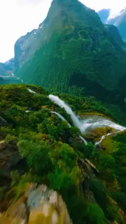 Naturaleza 