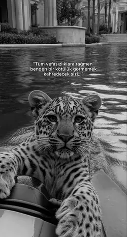 kahredecek sizi