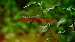 Cinematic Film
