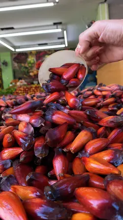 Hortifruti 