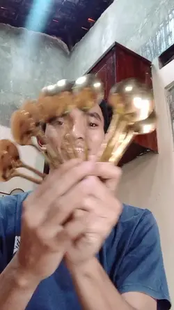sendok emas 
