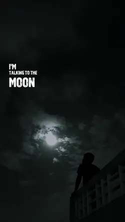 Talking To The Moon