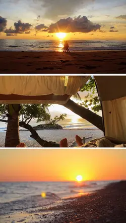 Summer sunset 