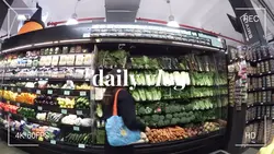 daily vlog 