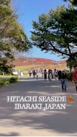 Japan trip 