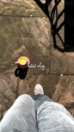 mini vlog