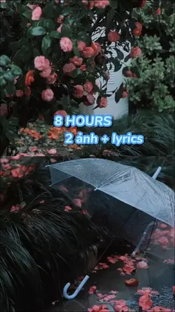 8 HOURS