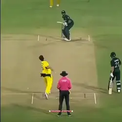 cricket shot templat