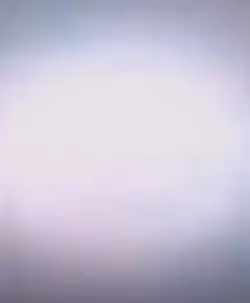 free flash 