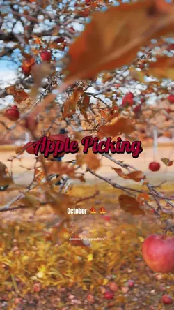 ApplePicking