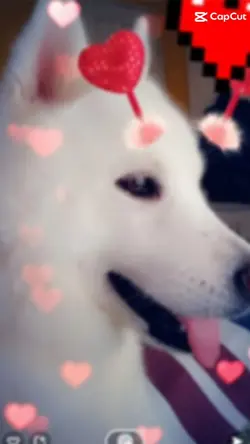 My Beautiful Snow
