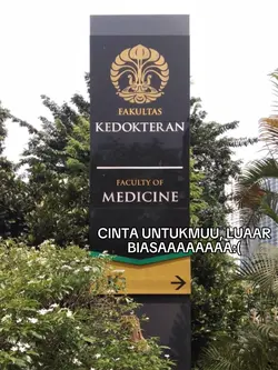 cinta untukmu luar