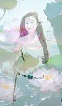 Mẫu 1 ảnh phủ hoa