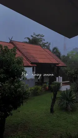 Rainy day, 2 videos