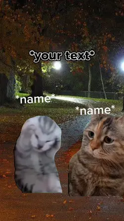Your text
