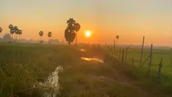Countryside 