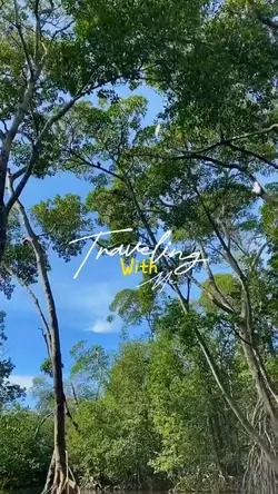 Travel Vlog