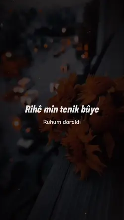 Hezdikim ji te