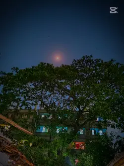 আঘাত কারী কে ভুলা 