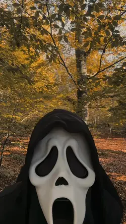 Halloween photo