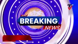 News 2 Free Trend