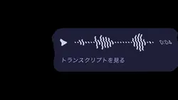 フィルター