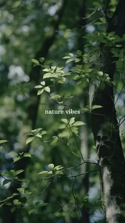 nature vibes