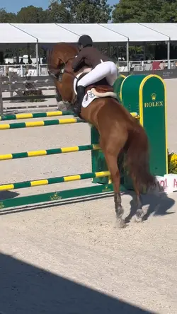 THIS HORSE, THE JUMP